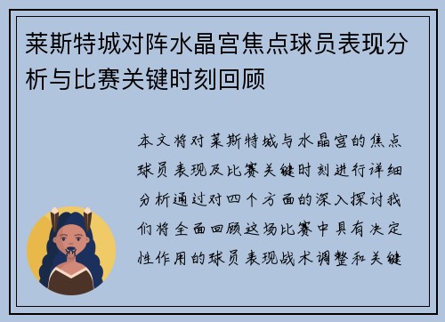 莱斯特城对阵水晶宫焦点球员表现分析与比赛关键时刻回顾