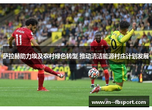 萨拉赫助力埃及农村绿色转型 推动清洁能源村庄计划发展